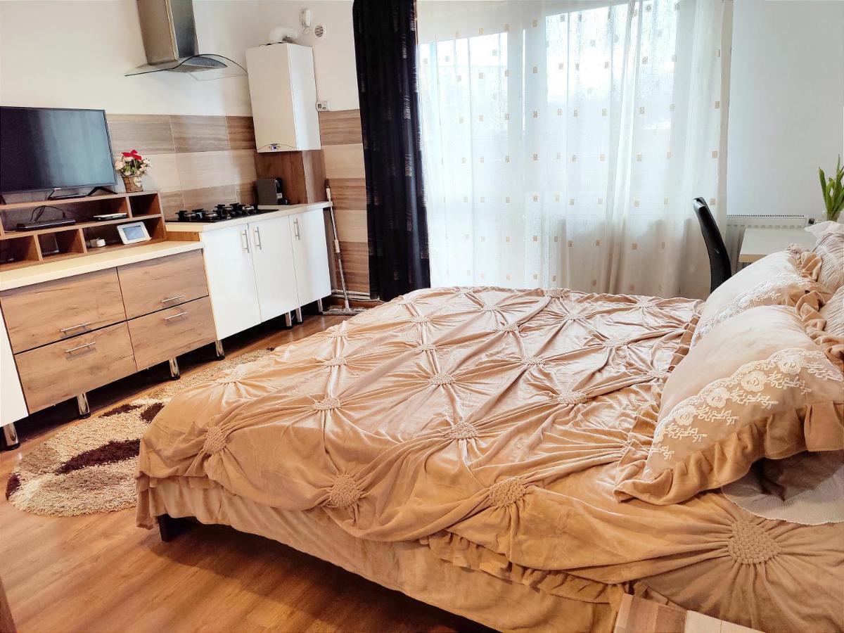 Casa De Vis Διαμέρισμα Μπρασόβ Εξωτερικό φωτογραφία